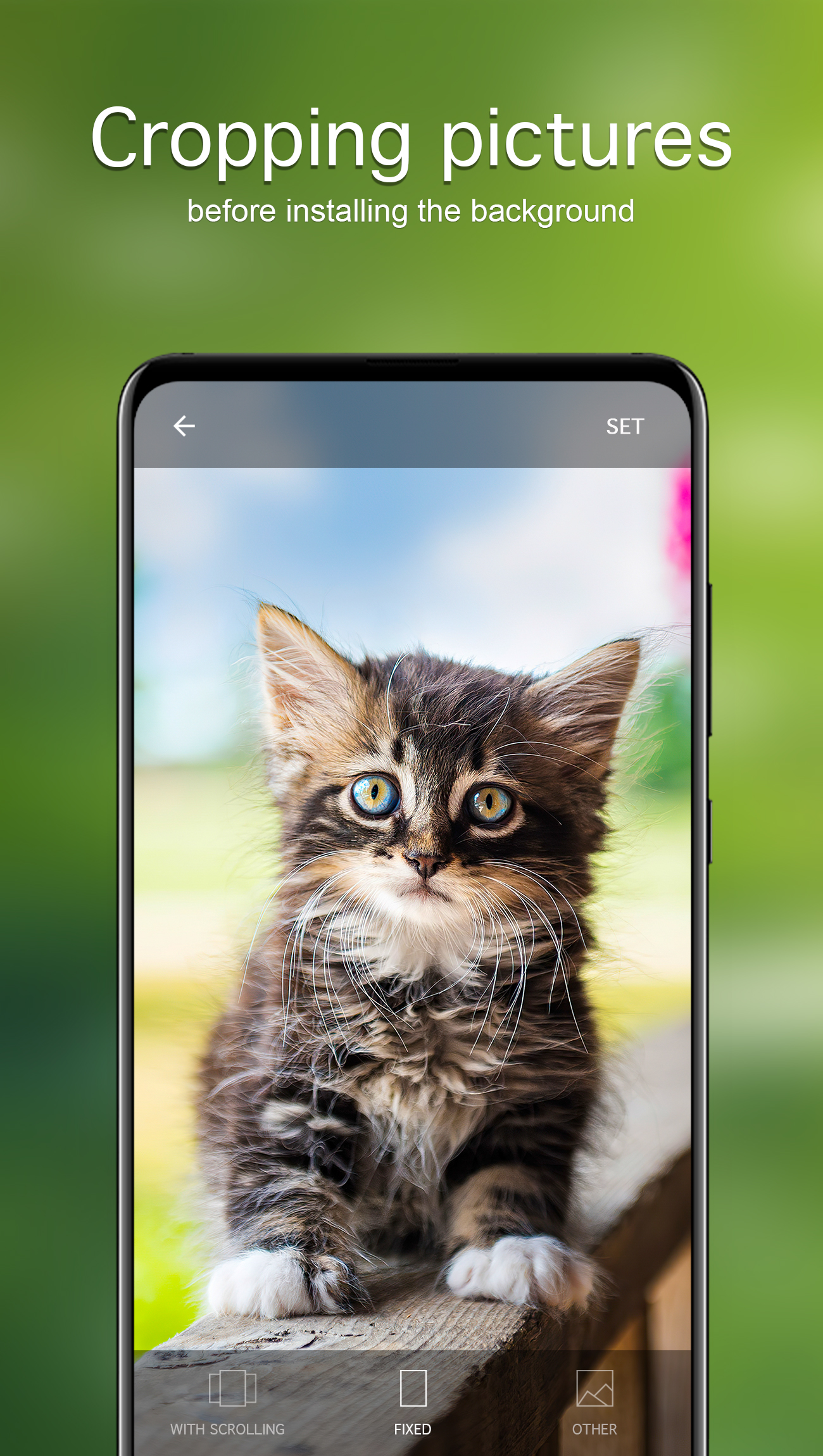 اسکرین شات 4 برنامه Cat Wallpapers & Cute Kittens
