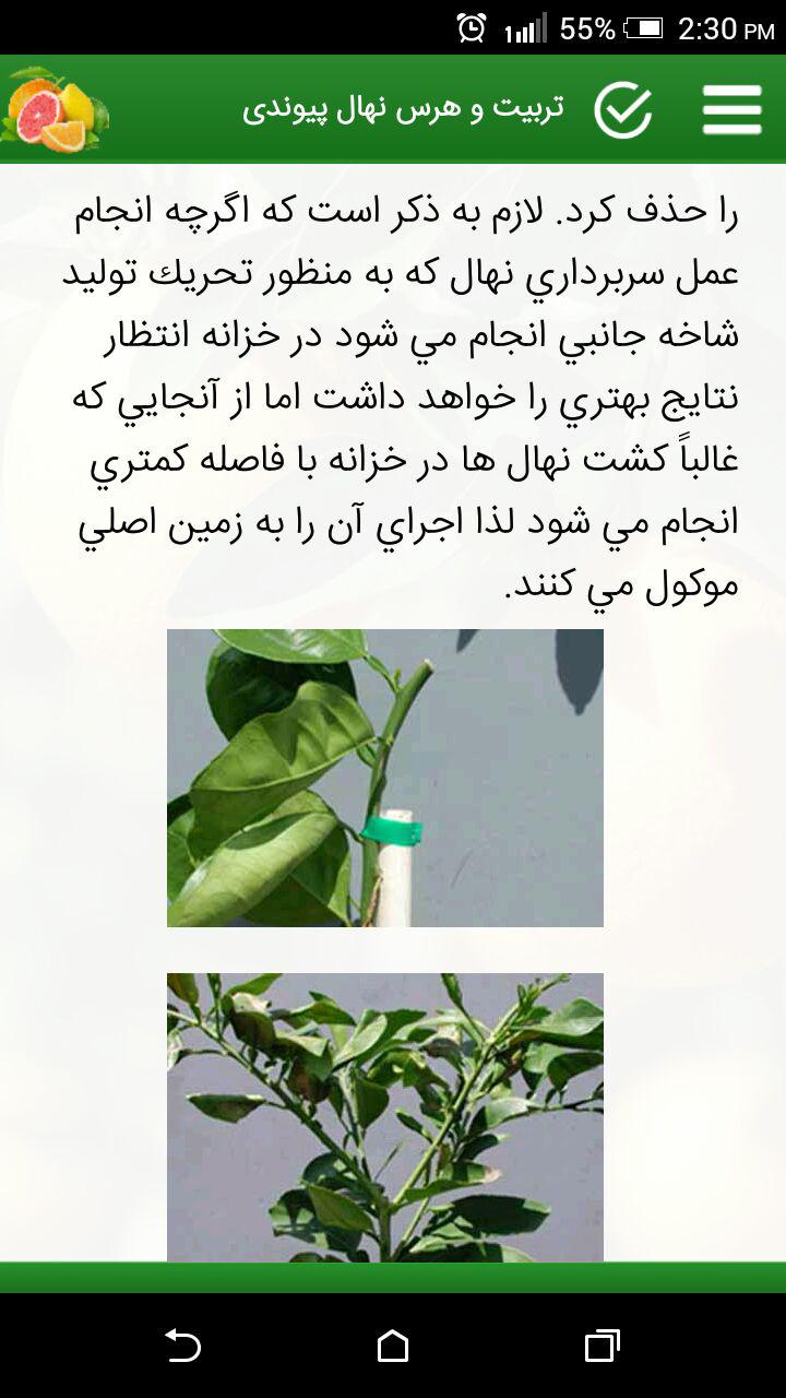 اسکرین شات 7 برنامه دانشنامه پرورش مرکبات