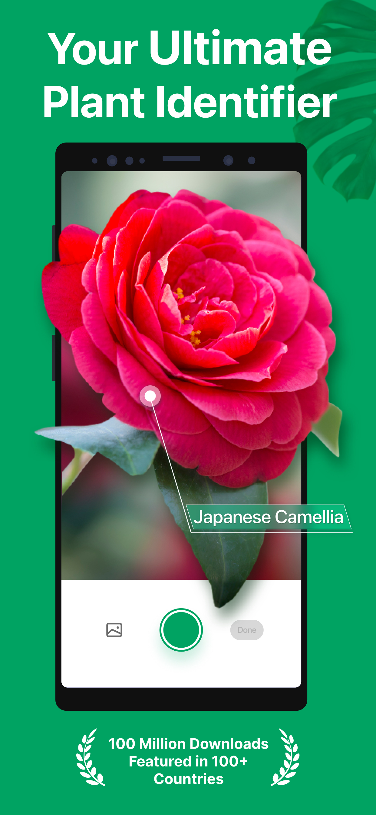 اسکرین شات 1 برنامه PictureThis - Plant Identifier