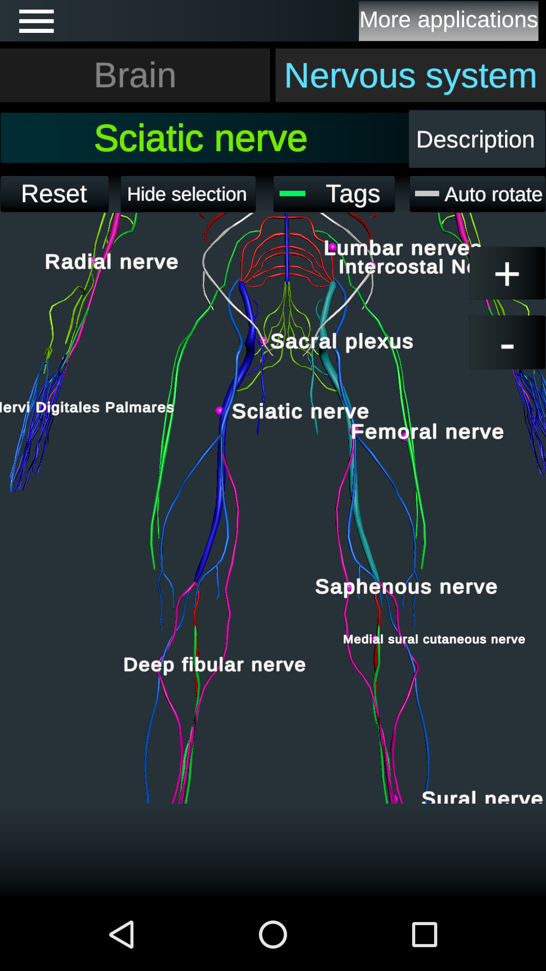 اسکرین شات 4 برنامه Brain and Nervous System 3D