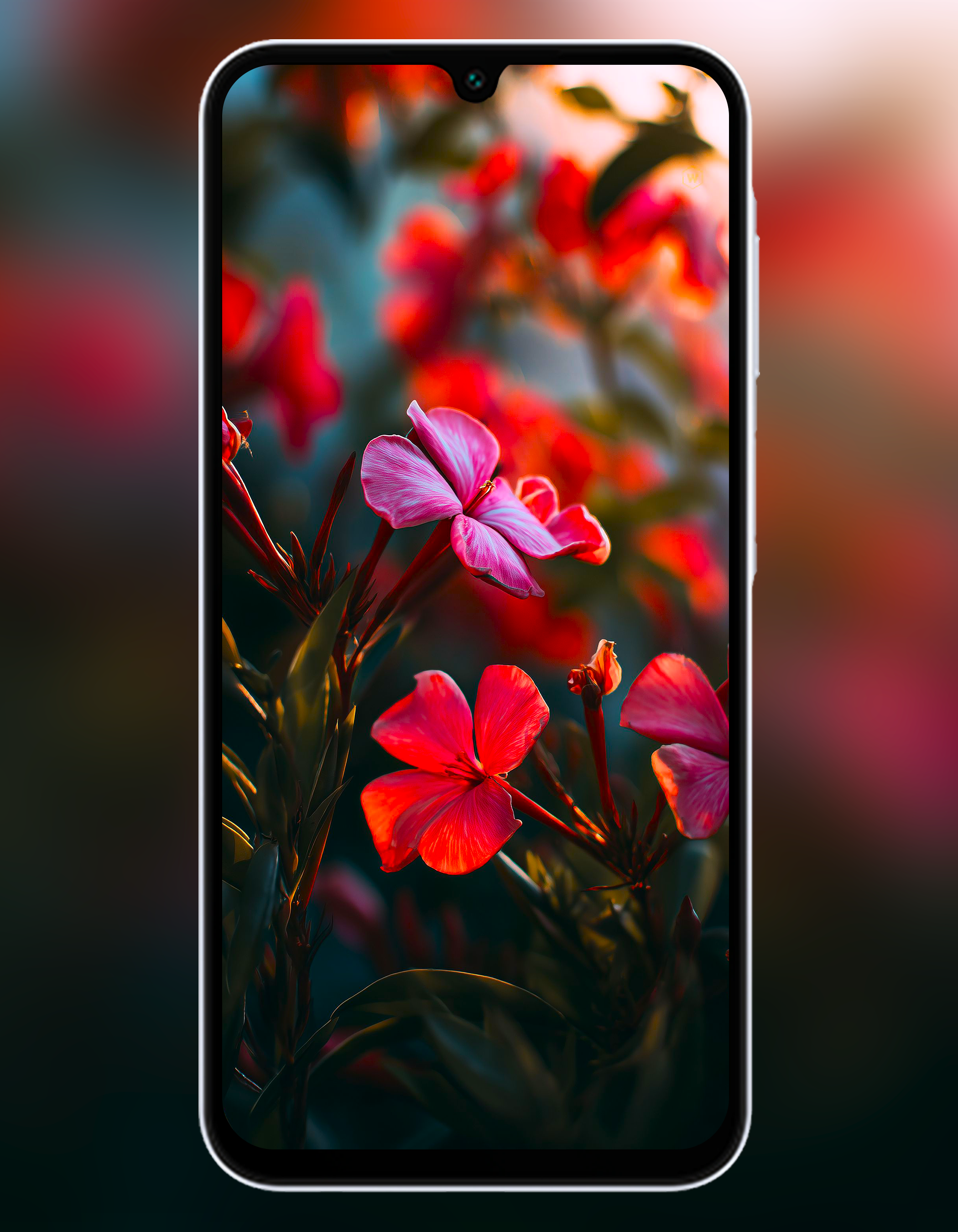 اسکرین شات 4 برنامه Galaxy A16 5G Wallpaper