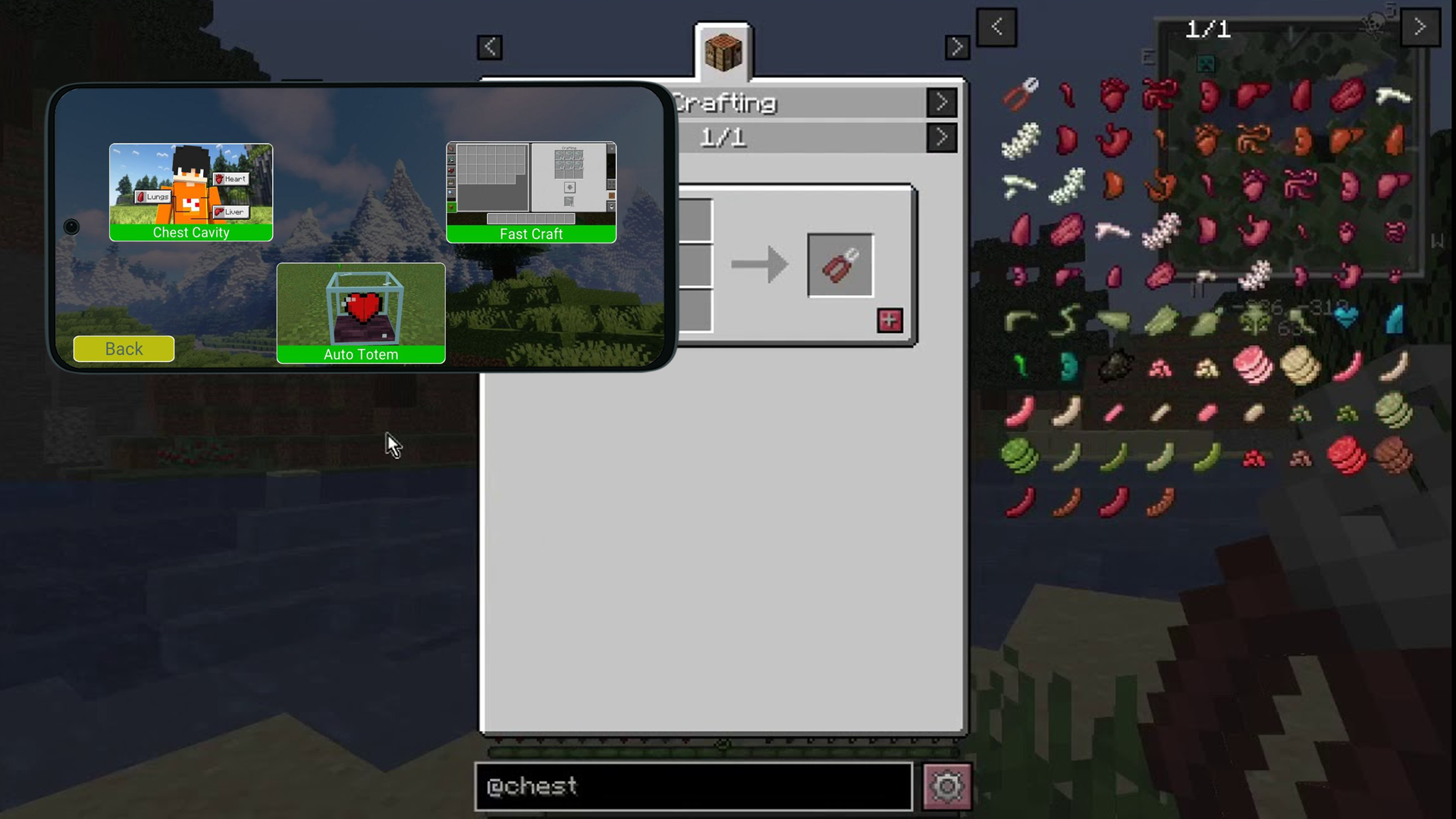 اسکرین شات 2 برنامه Chest Cavity Mod for Minecraft