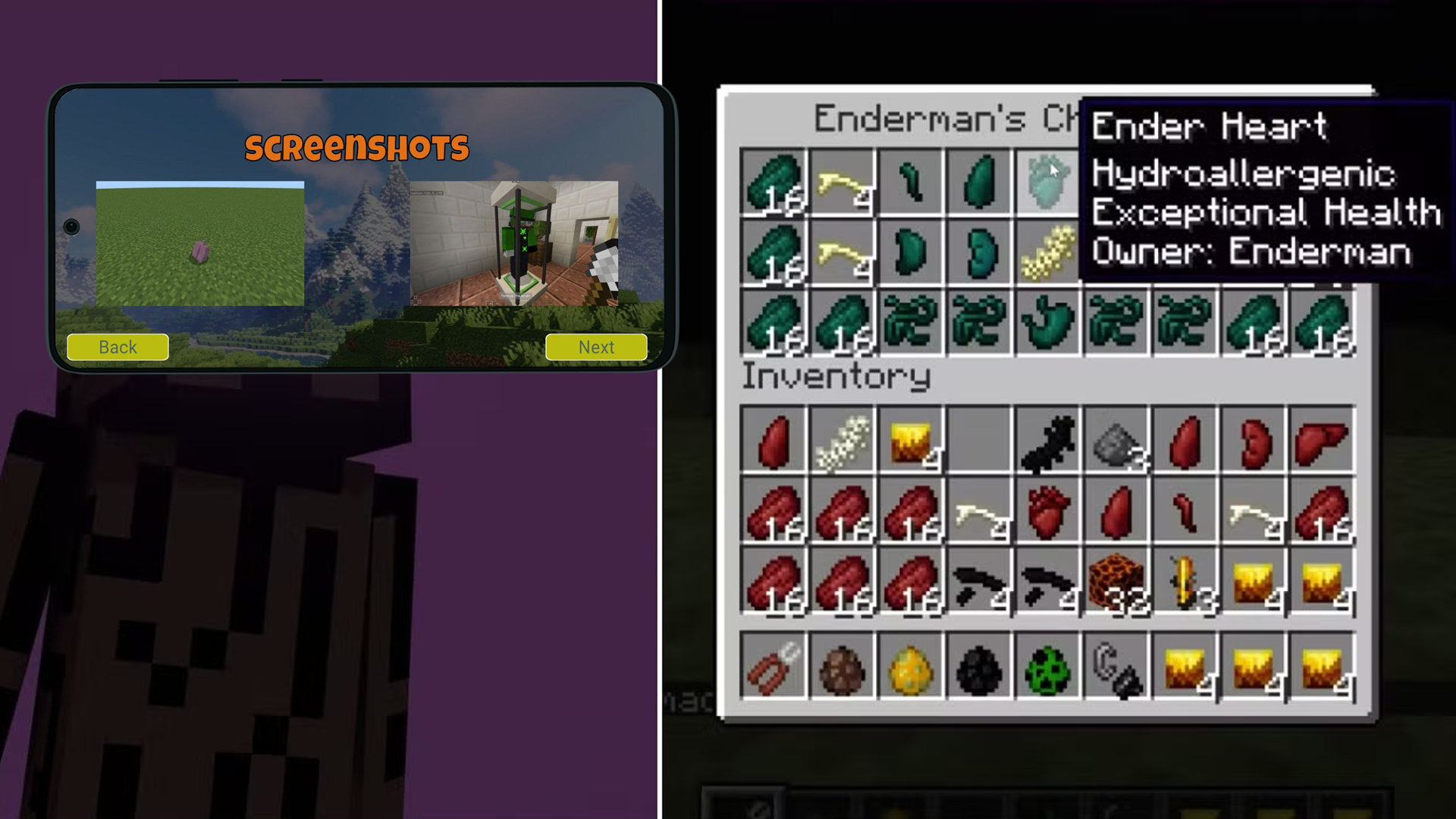 اسکرین شات 3 برنامه Chest Cavity Mod for Minecraft