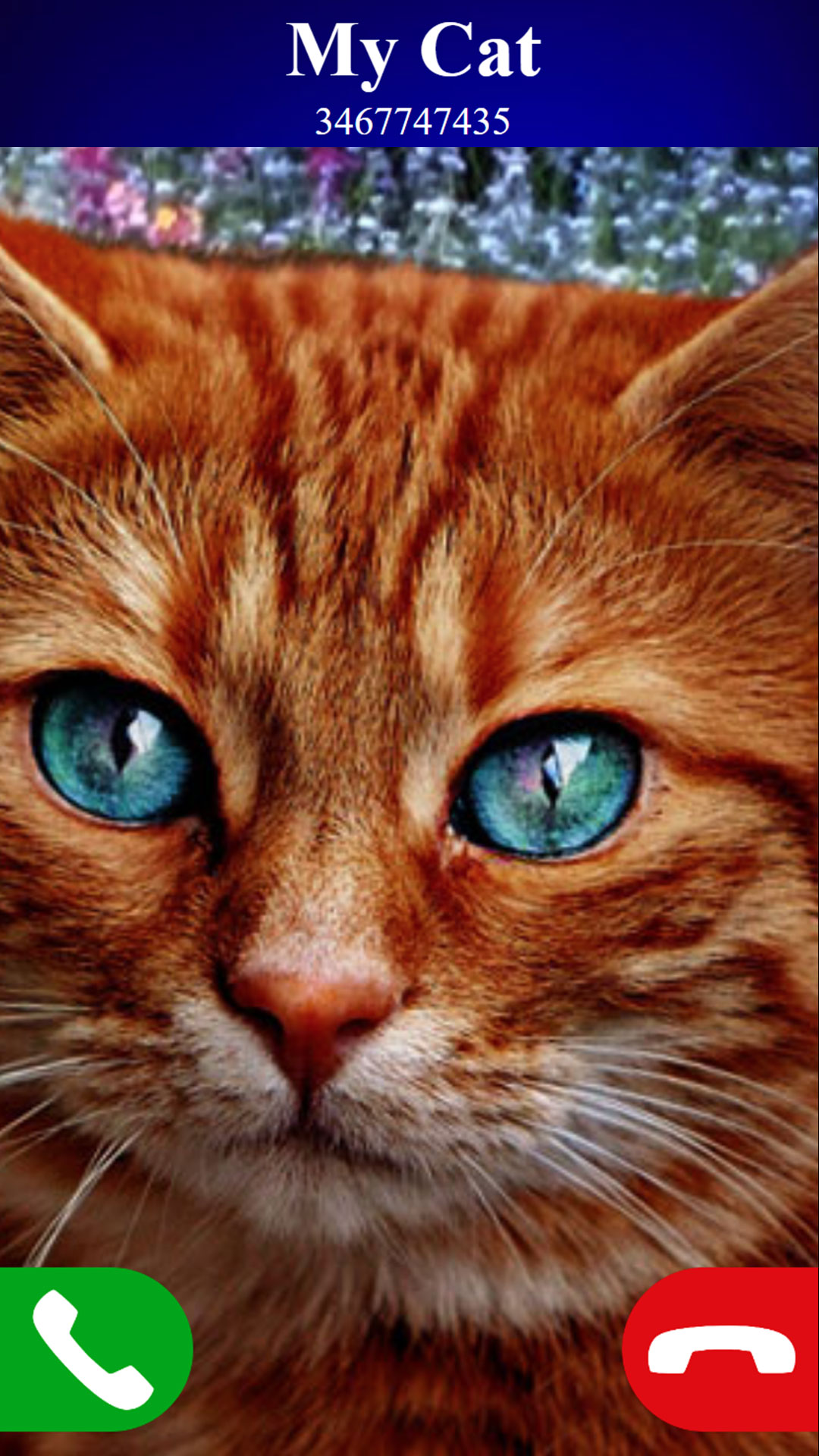 اسکرین شات 1 بازی fake call cat game