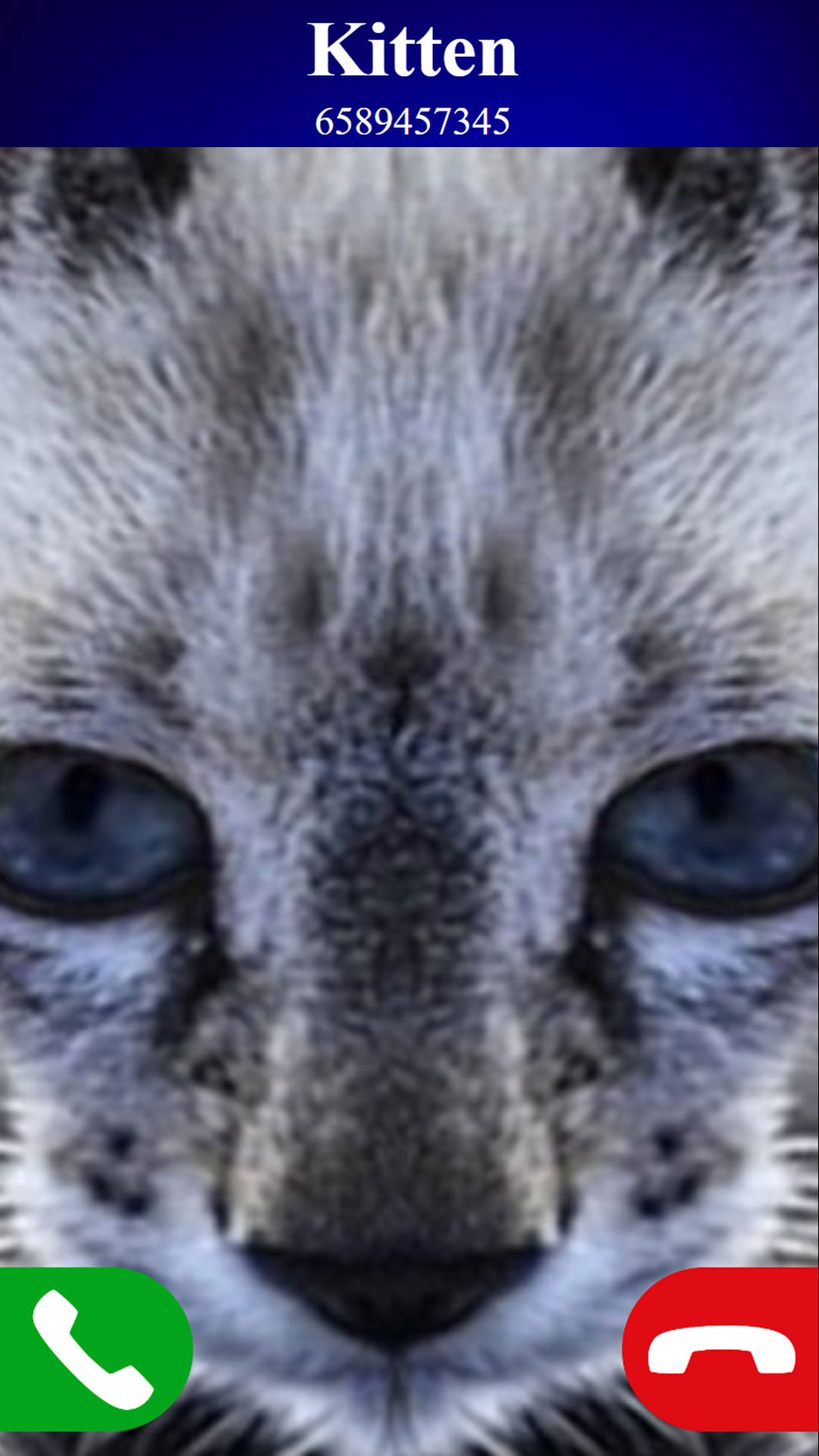 اسکرین شات 3 بازی fake call cat game