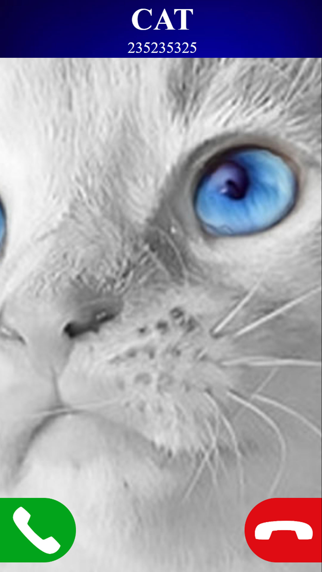 اسکرین شات 4 بازی fake call cat game