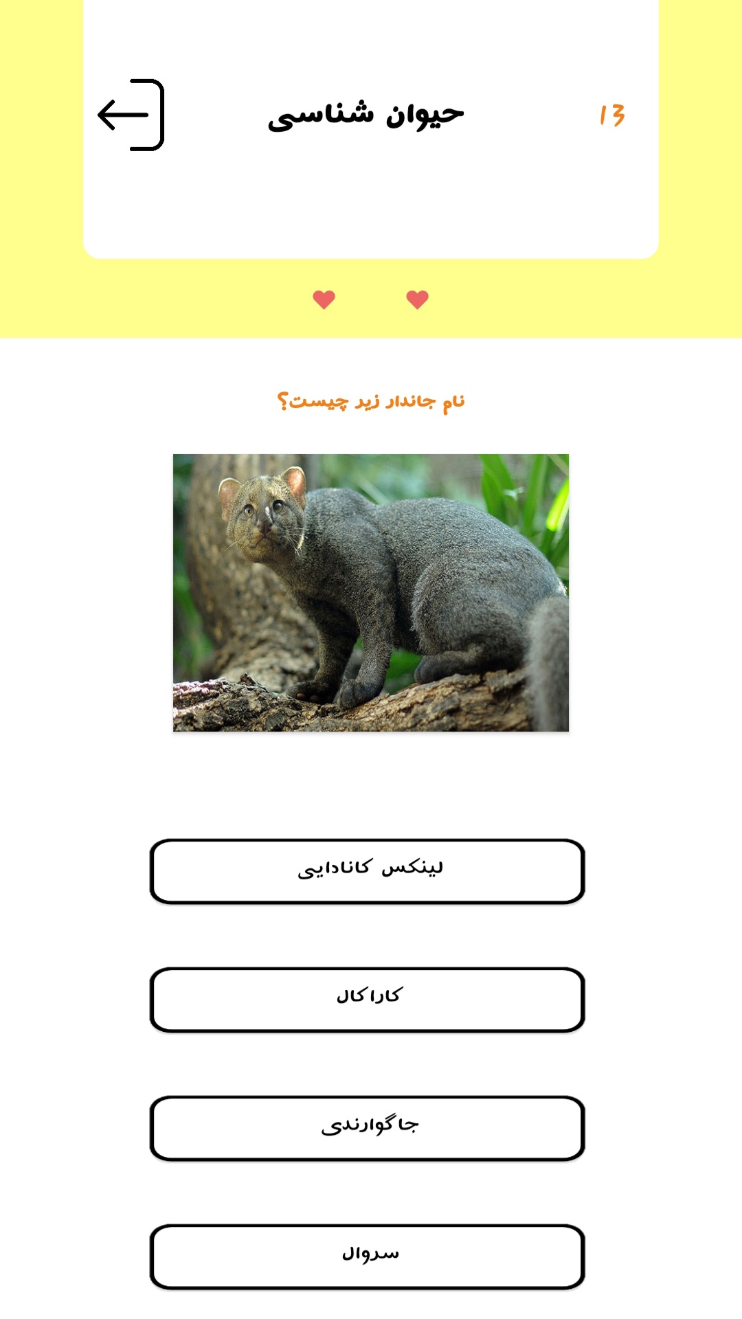 اسکرین شات 5 برنامه تست هوش