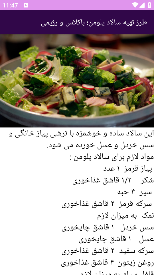 اسکرین شات 8 برنامه برتر آموزش غذاهای رژیمی