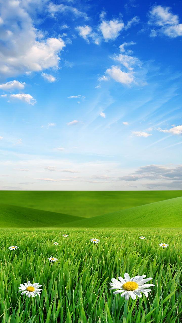 اسکرین شات 5 برنامه Nature Live Wallpaper