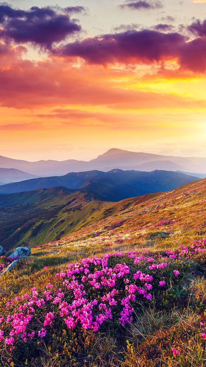 اسکرین شات 3 برنامه Nature Live Wallpaper