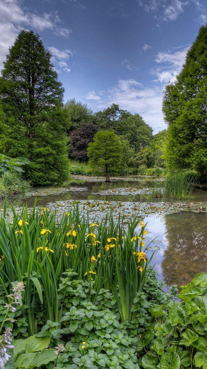 اسکرین شات 2 برنامه Nature Live Wallpaper