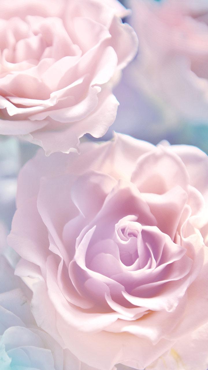 اسکرین شات 4 برنامه Rose Live Wallpaper