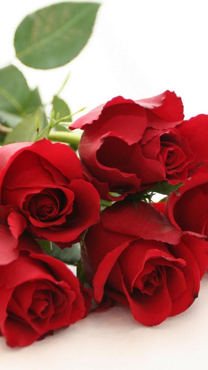 اسکرین شات 3 برنامه Roses Live Wallpaper