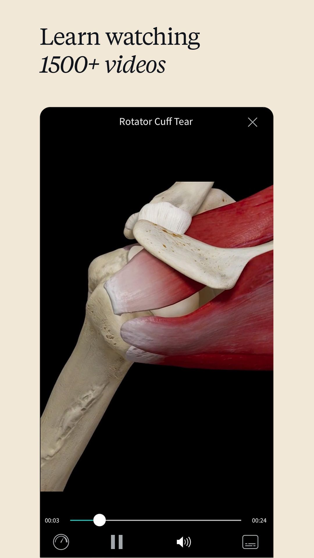 اسکرین شات 8 برنامه Complete Anatomy - Learn in 3D