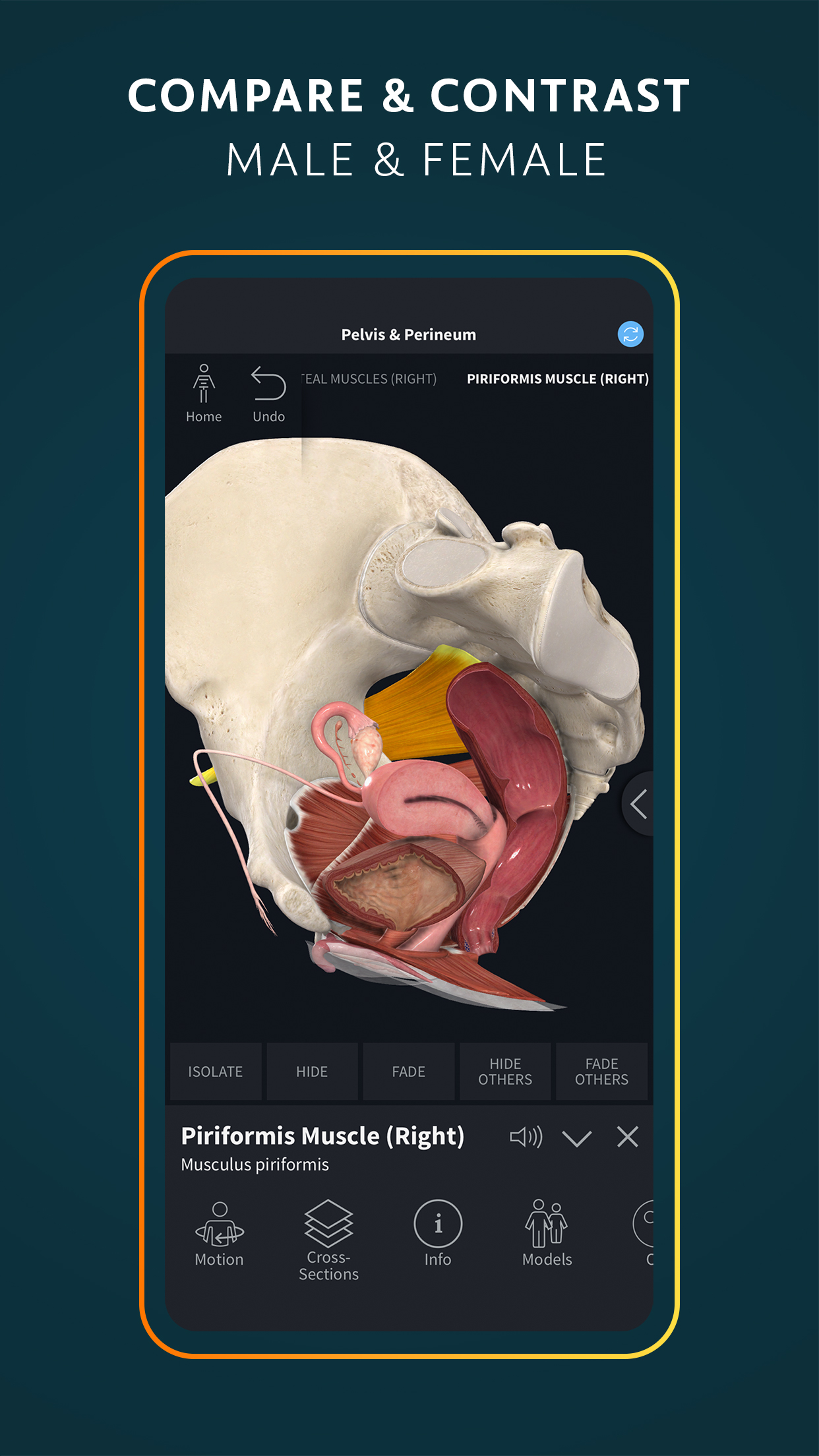 اسکرین شات 5 برنامه Complete Anatomy - Learn in 3D