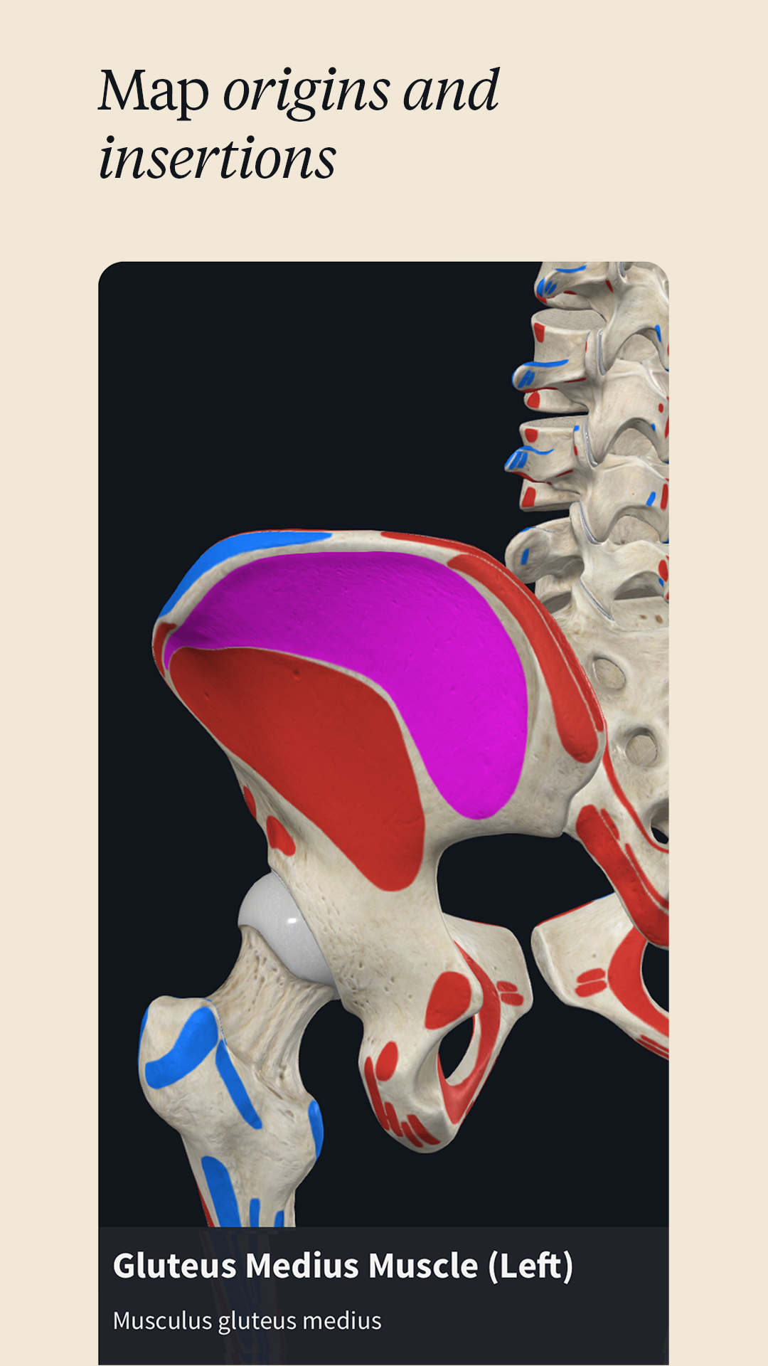 اسکرین شات 5 برنامه Complete Anatomy - Learn in 3D