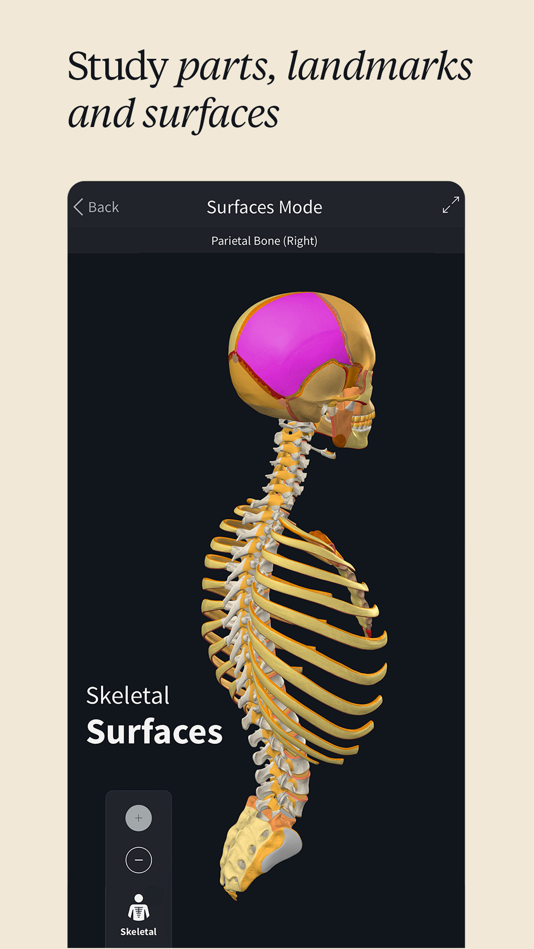 اسکرین شات 4 برنامه Complete Anatomy - Learn in 3D