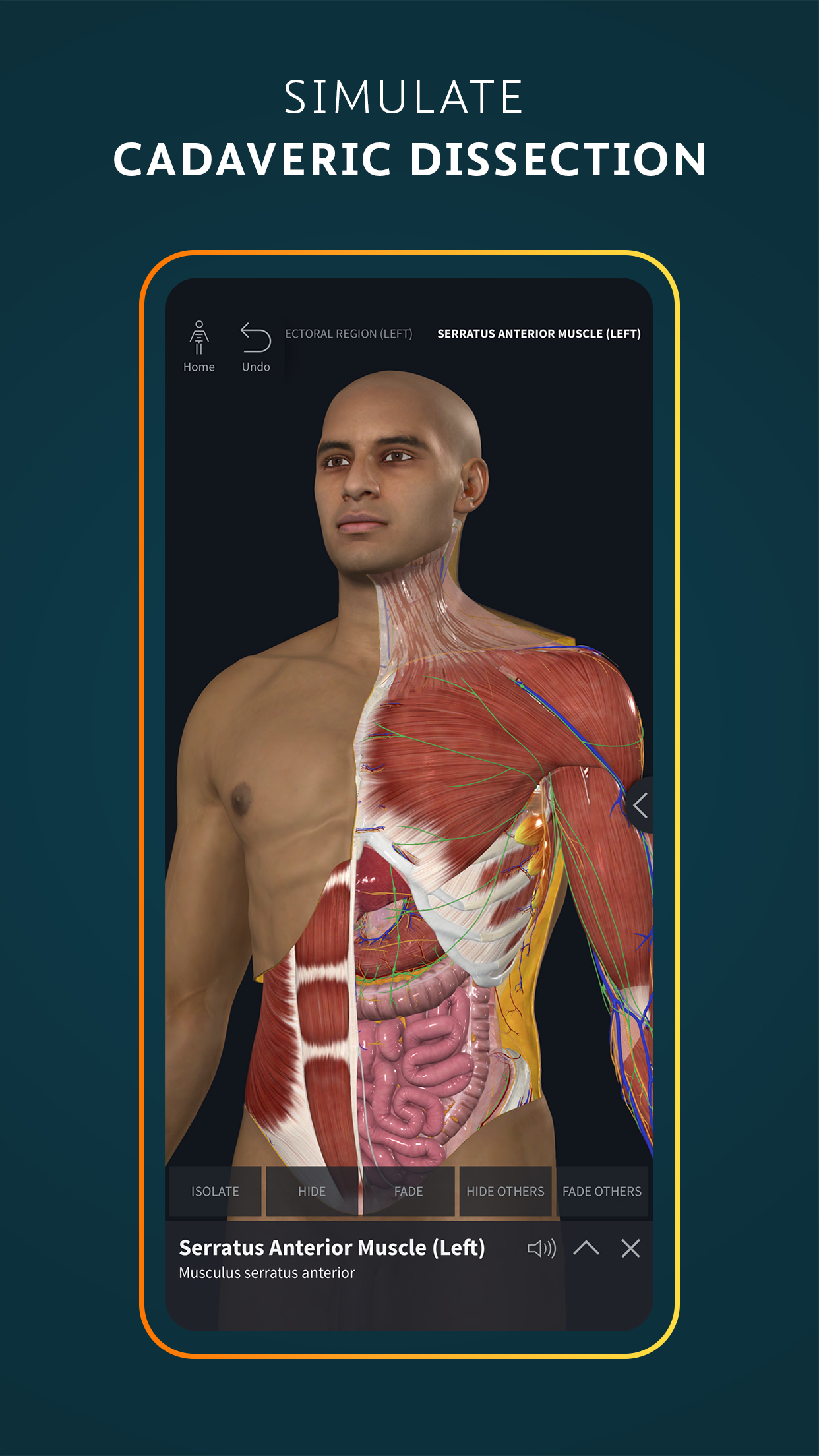 اسکرین شات 2 برنامه Complete Anatomy - Learn in 3D