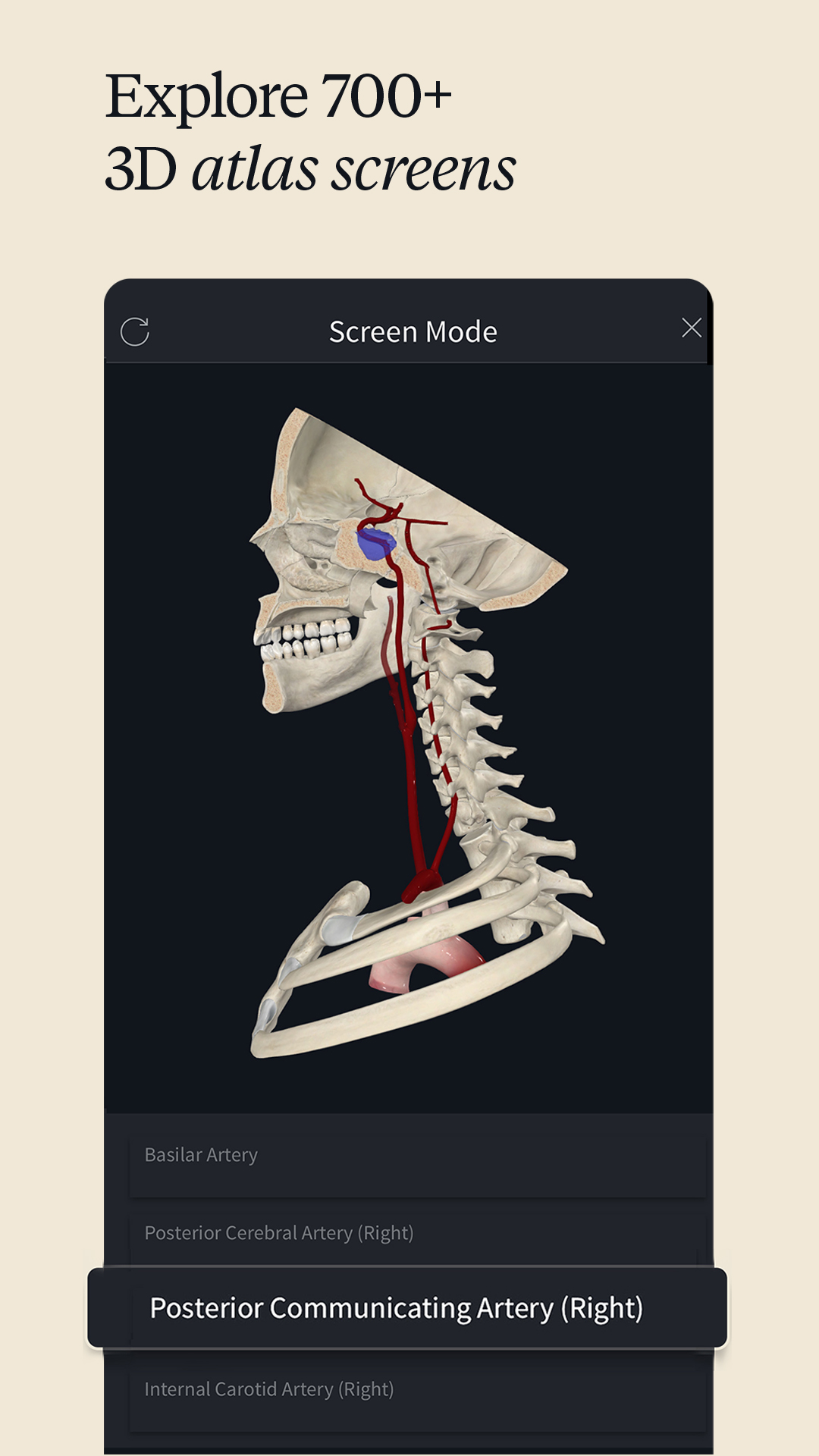 اسکرین شات 1 برنامه Complete Anatomy - Learn in 3D