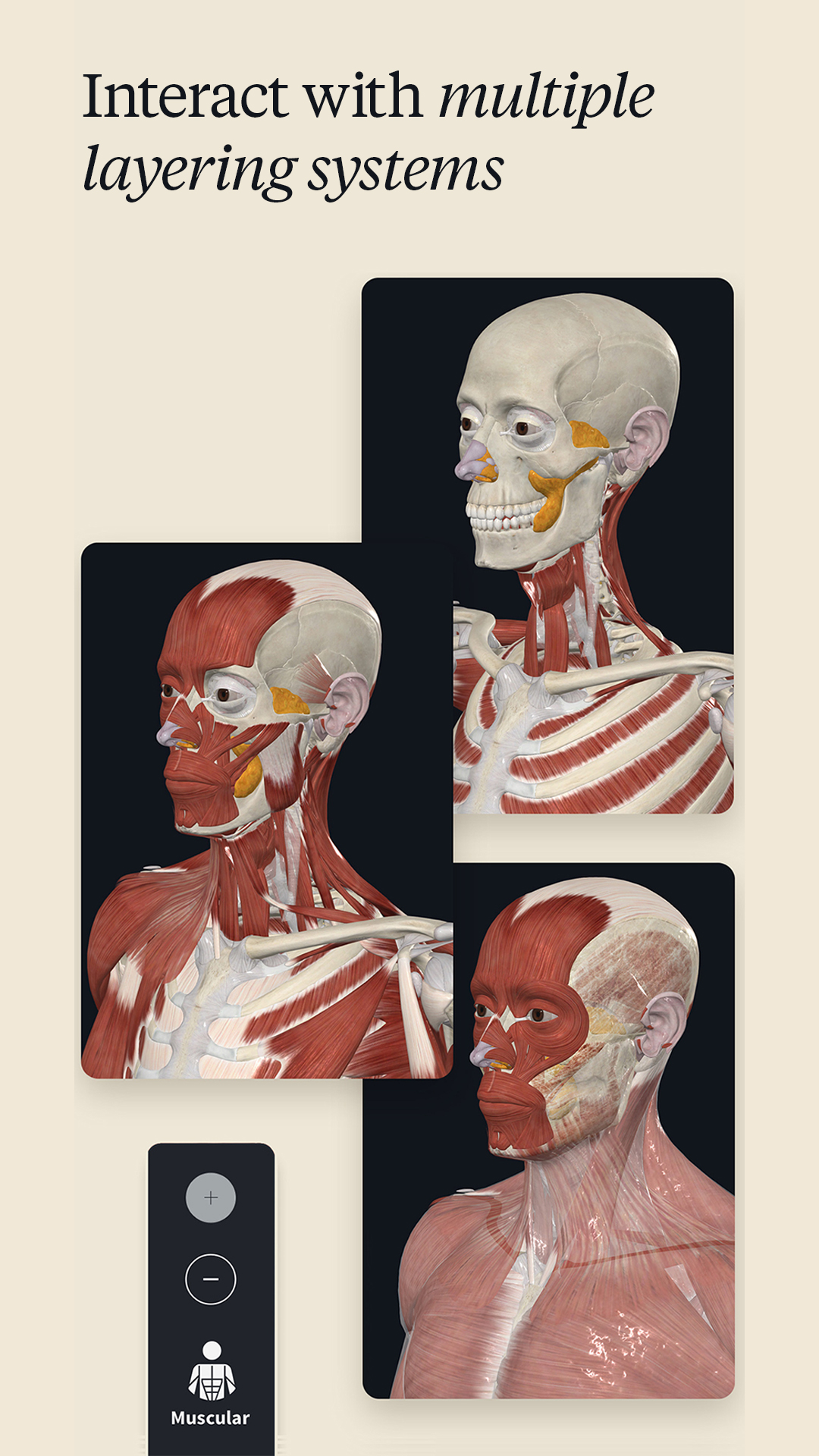 اسکرین شات 2 برنامه Complete Anatomy - Learn in 3D