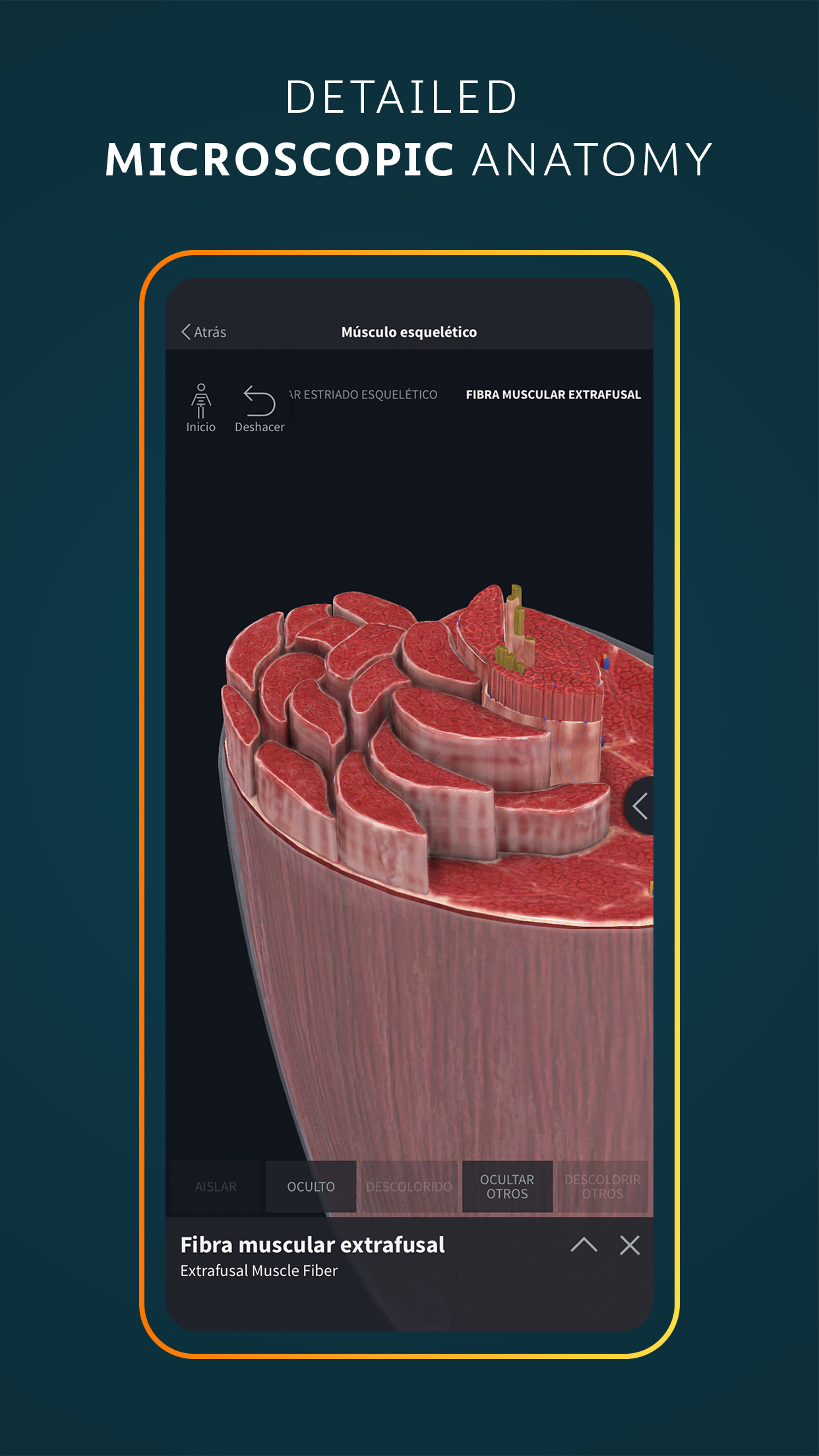 اسکرین شات 8 برنامه Complete Anatomy - Learn in 3D