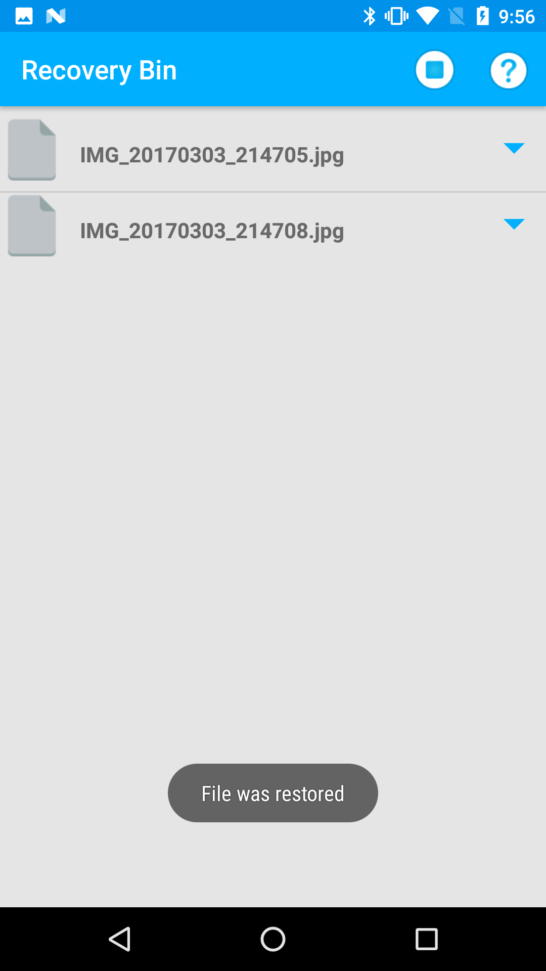 اسکرین شات 6 برنامه Recycle Bin