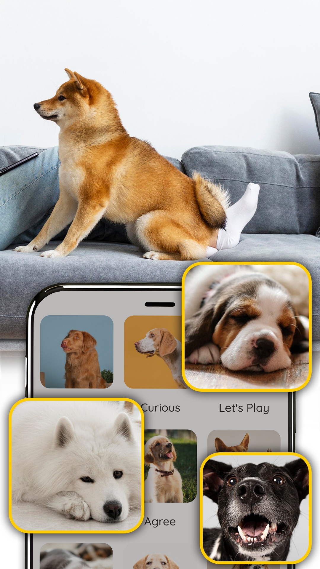 اسکرین شات 5 برنامه Dog Translator: Dog Sound