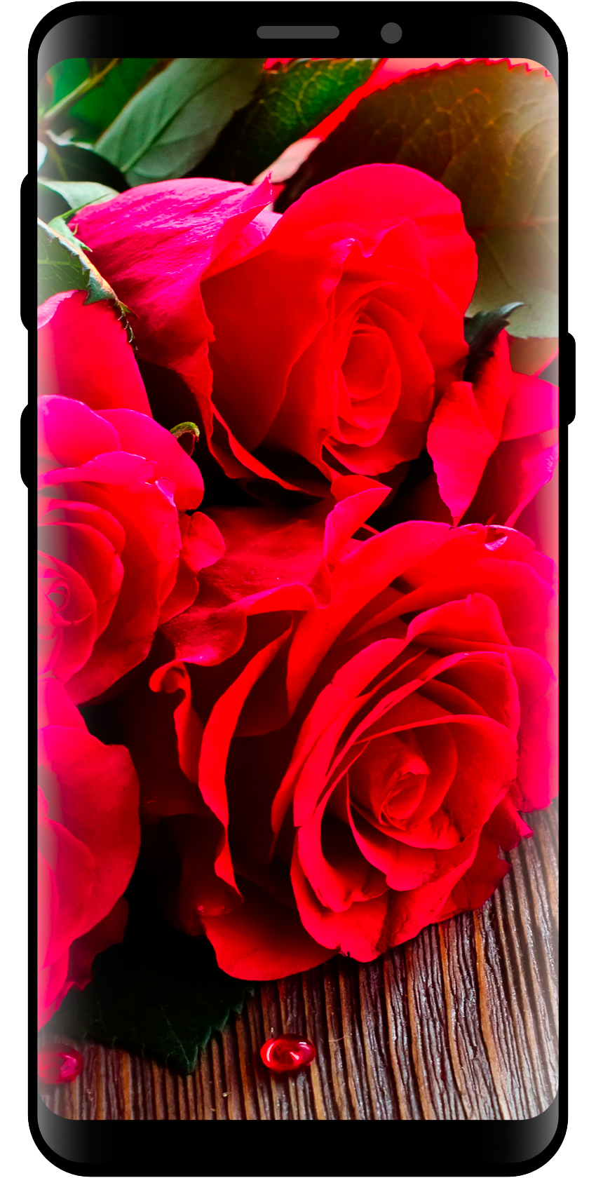 اسکرین شات 7 برنامه 10000 Nature Wallpapers