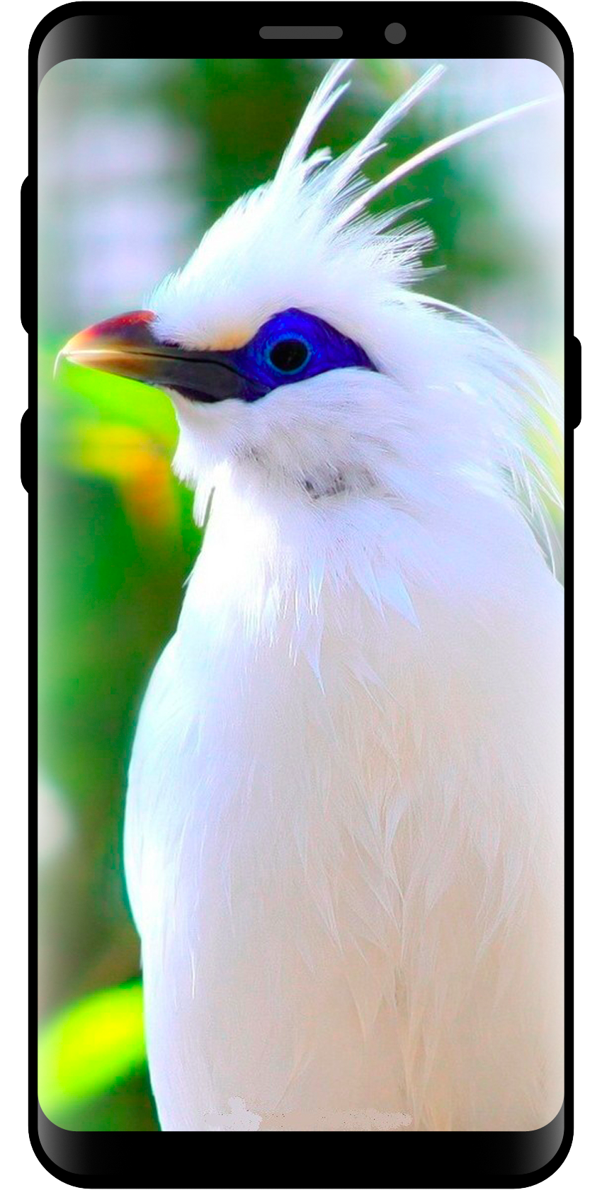 اسکرین شات 1 برنامه 10000 Nature Wallpapers