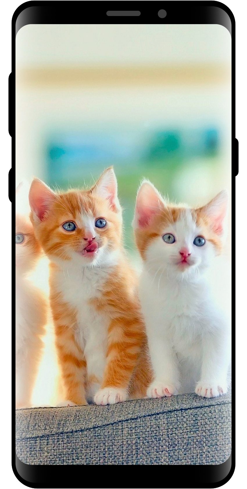 اسکرین شات 5 برنامه 10000 Nature Wallpapers