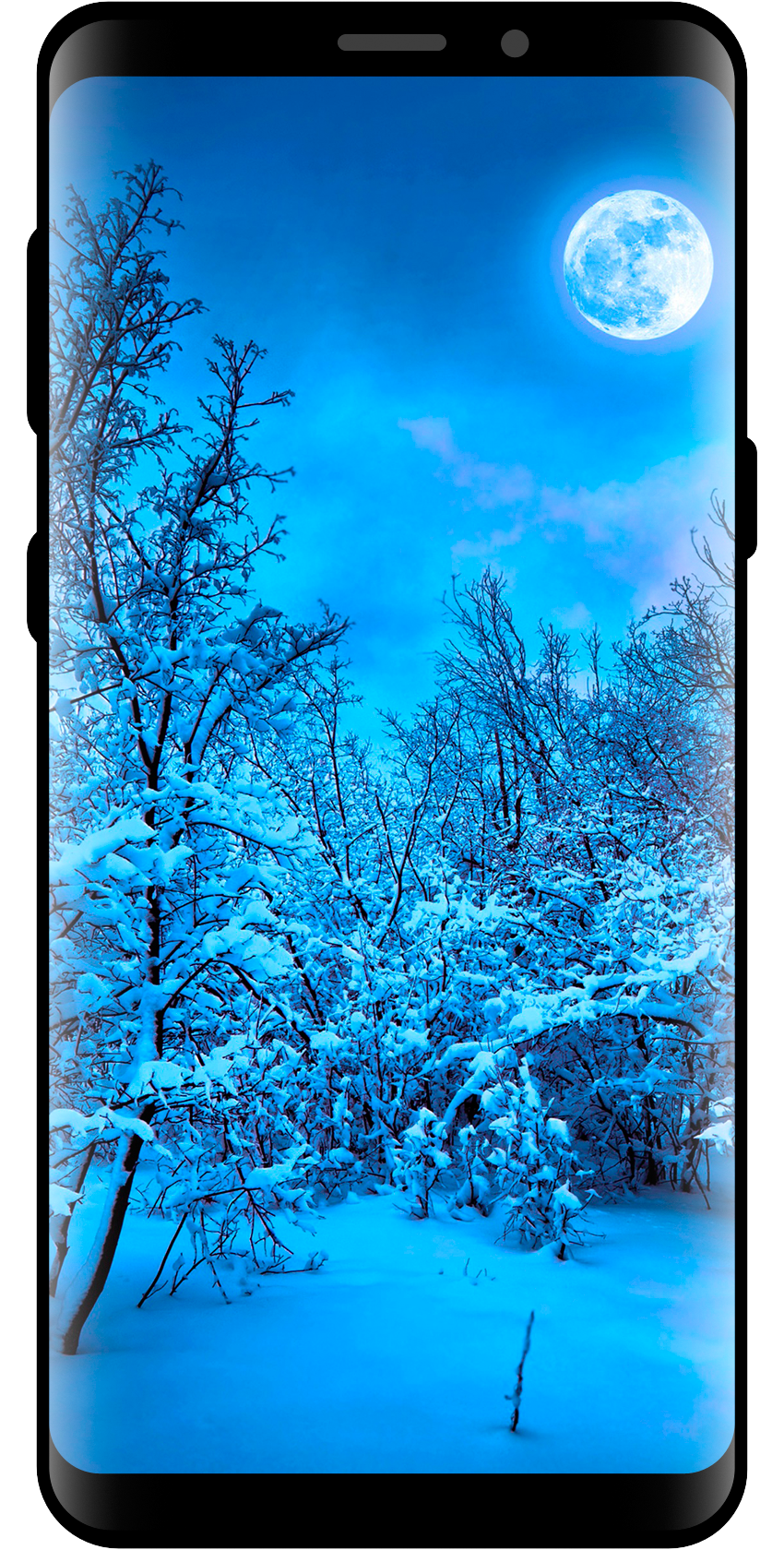 اسکرین شات 3 برنامه 10000 Nature Wallpapers