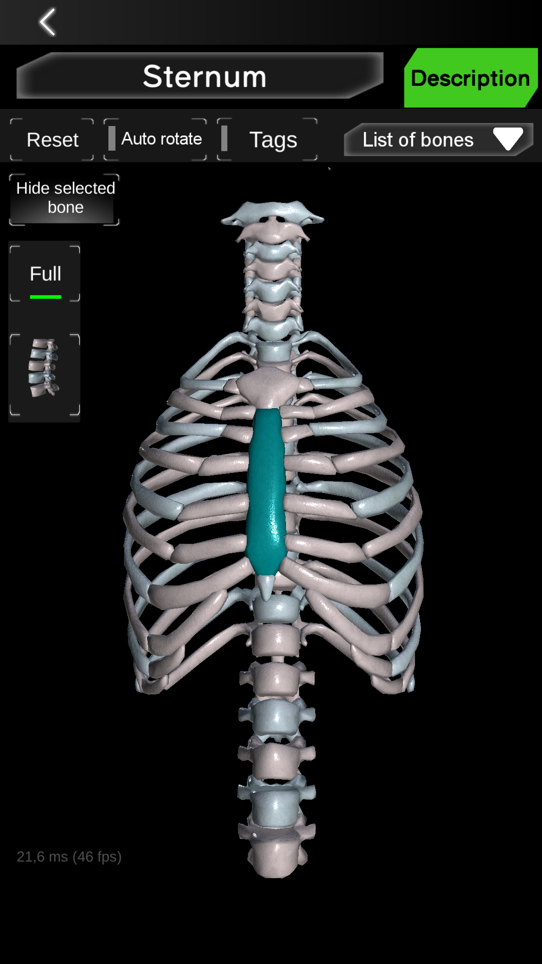 اسکرین شات 2 برنامه Osseous System in 3D (Anatomy)
