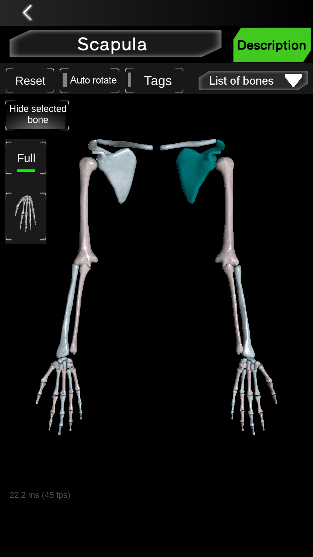 اسکرین شات 6 برنامه Osseous System in 3D (Anatomy)
