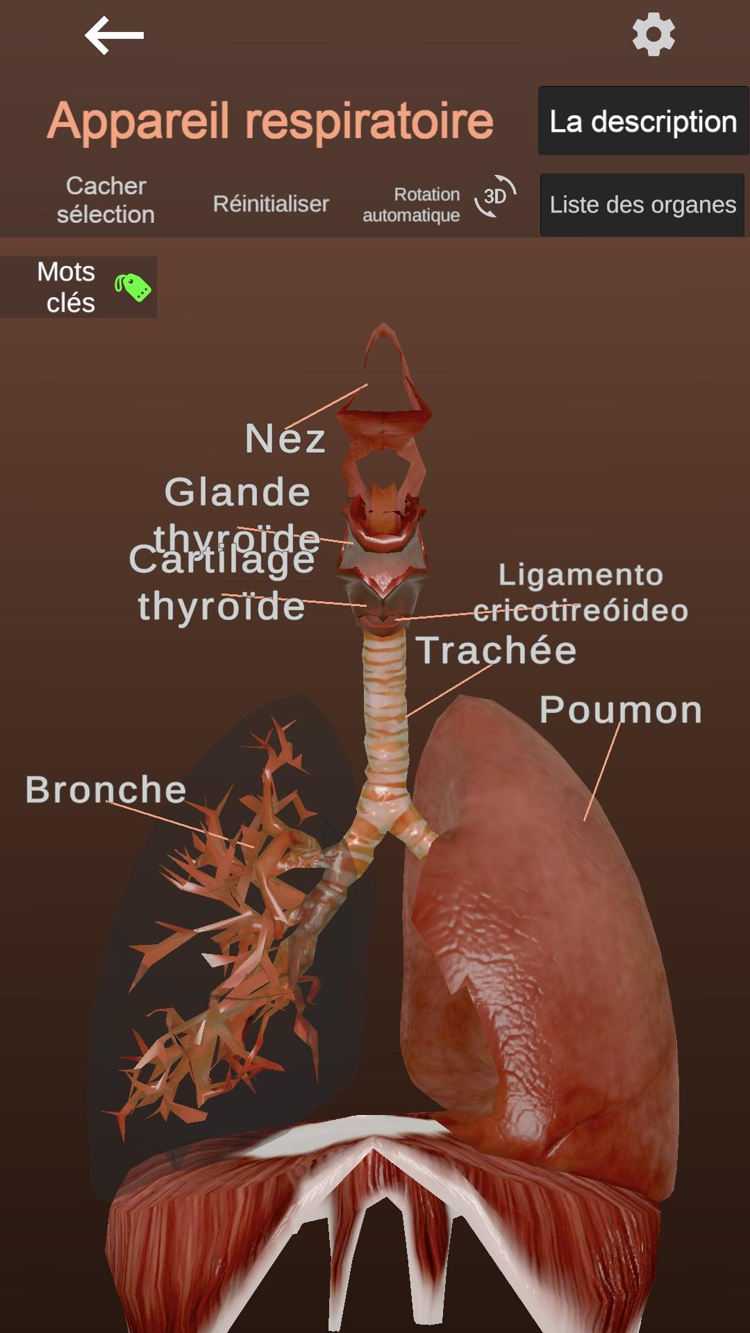 اسکرین شات 3 برنامه Internal Organs in 3D Anatomy