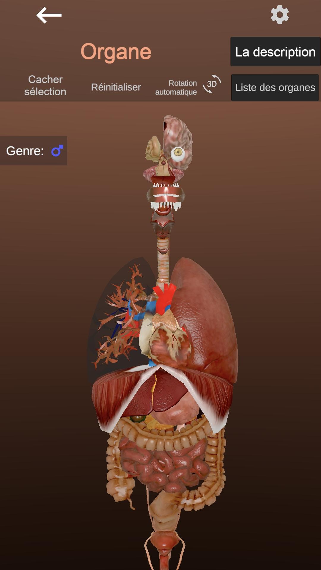 اسکرین شات 4 برنامه Internal Organs in 3D Anatomy