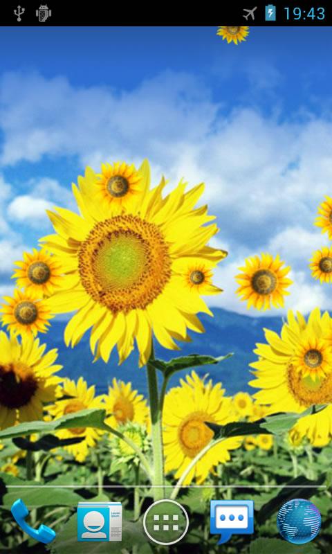 اسکرین شات 2 برنامه Sunflower Live Wallpaper