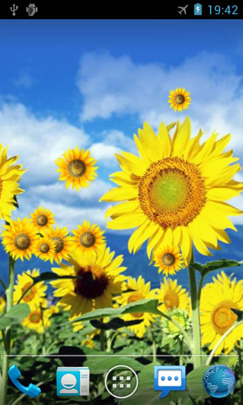 اسکرین شات 1 برنامه Sunflower Live Wallpaper