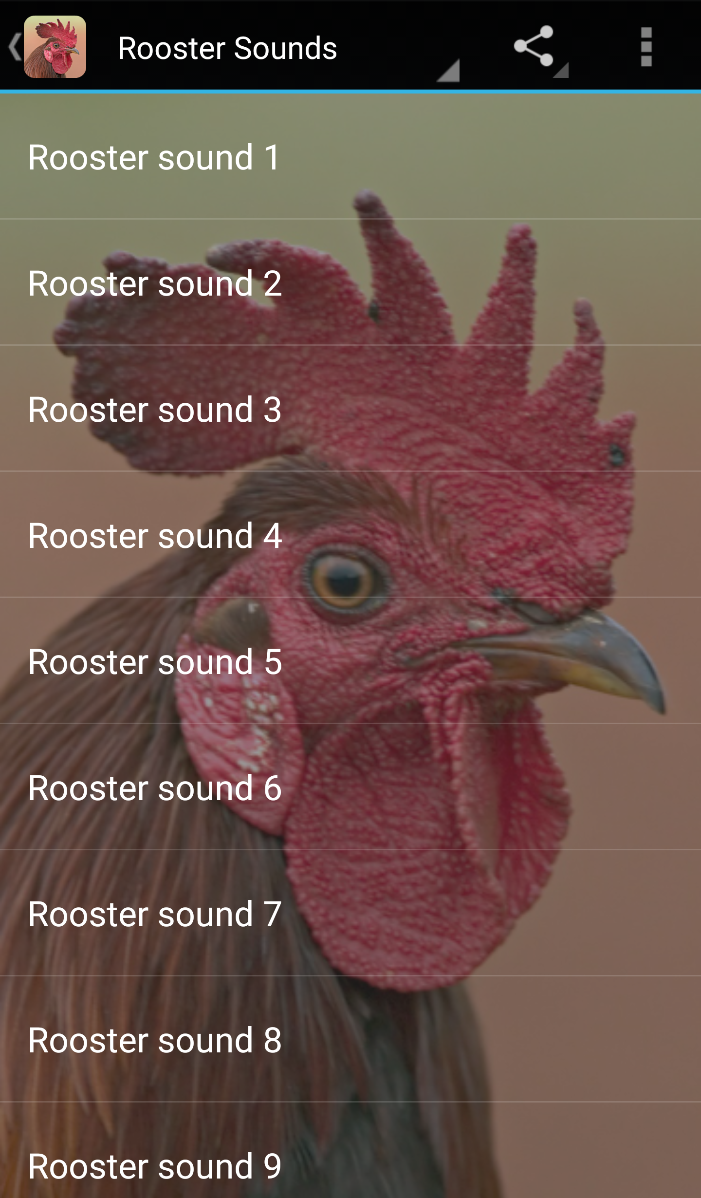 اسکرین شات 1 برنامه Rooster Sounds