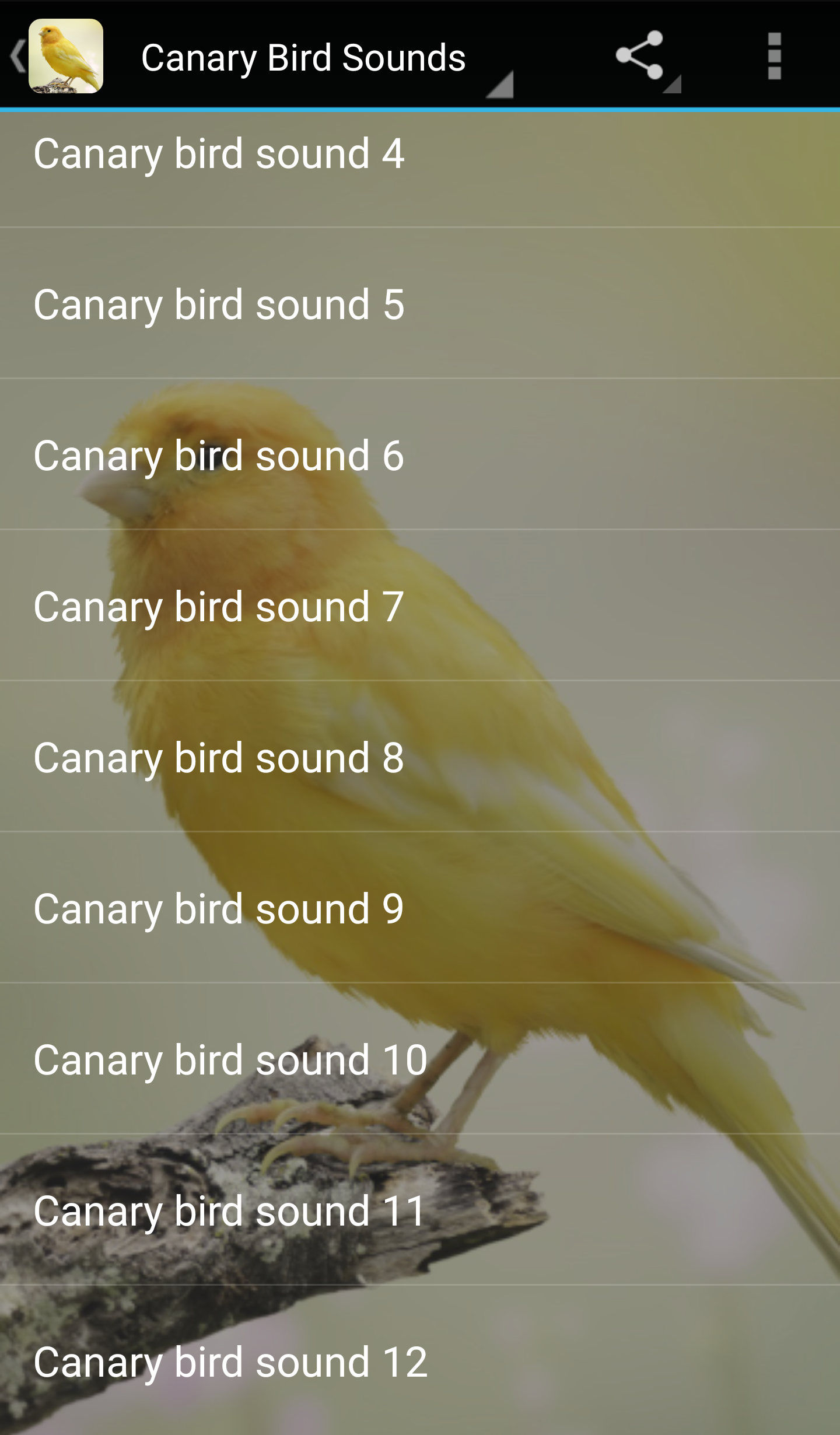 اسکرین شات 1 برنامه Canary Bird Sounds