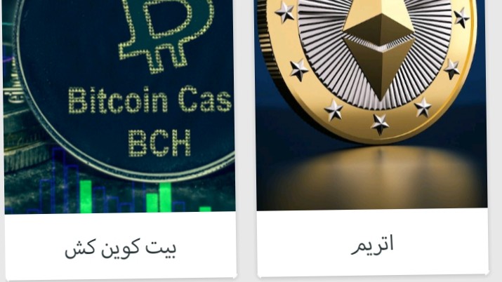 اسکرین شات 2 برنامه ارزینو