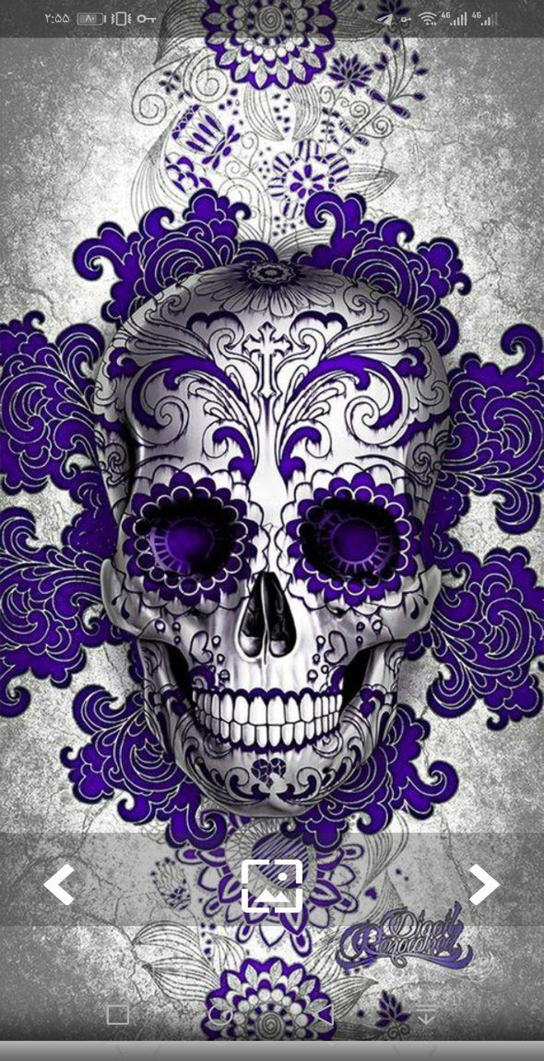 اسکرین شات 3 برنامه تم اسکلت