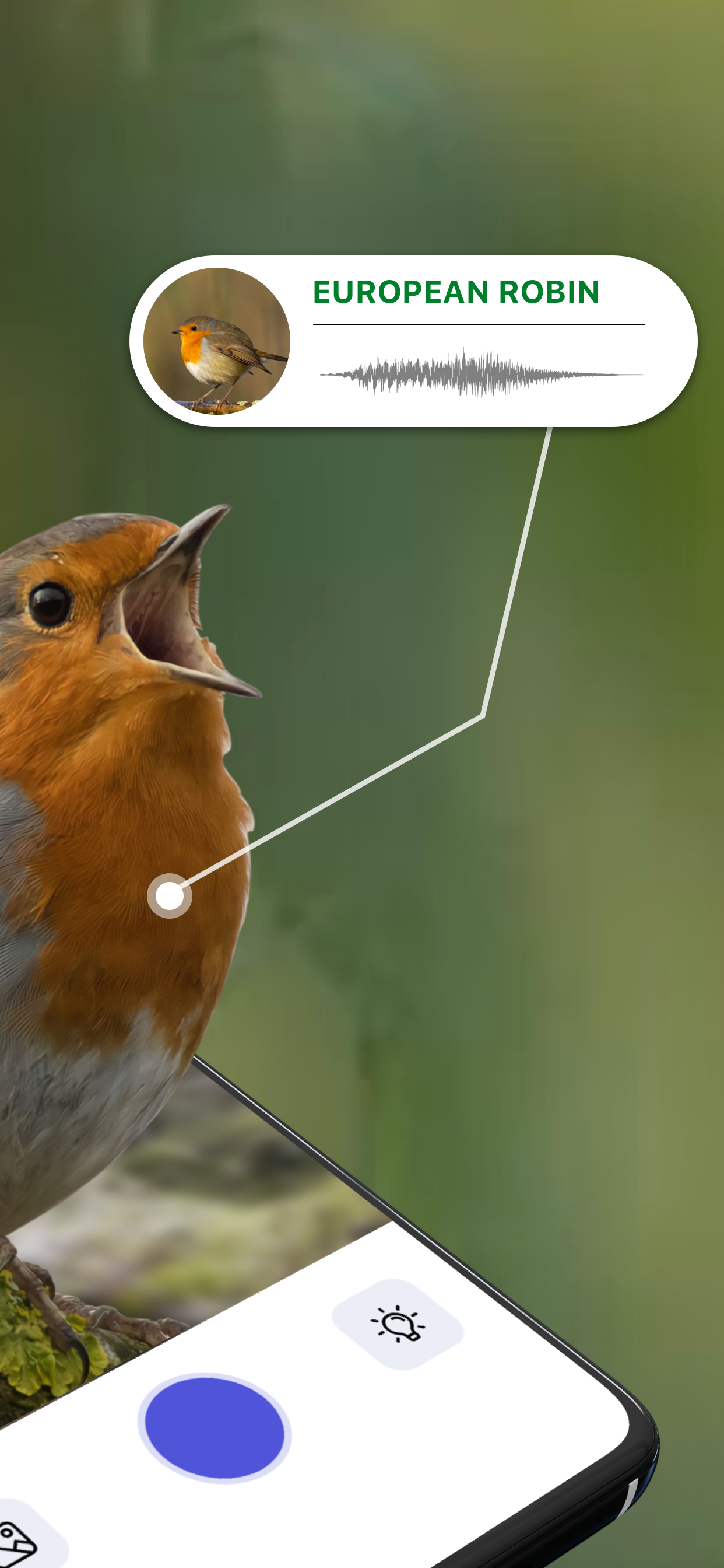اسکرین شات 2 برنامه Bird Sound Identifier Bird ID