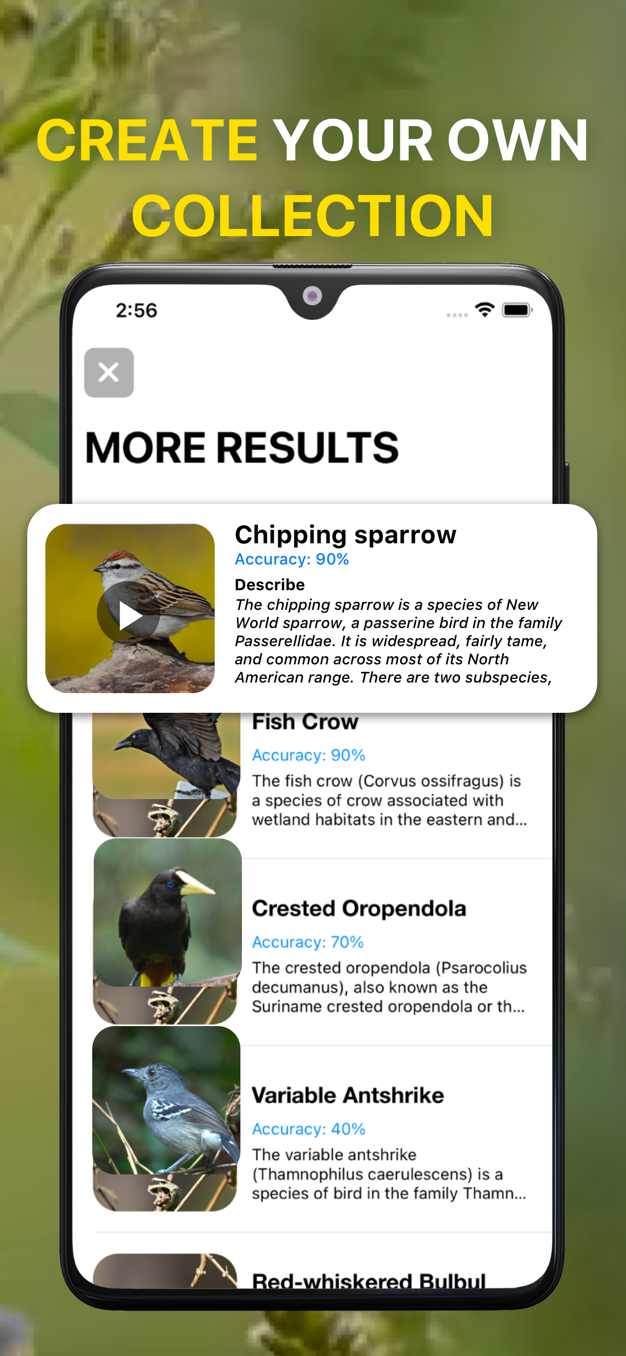 اسکرین شات 5 برنامه Bird Sound Identifier Bird ID