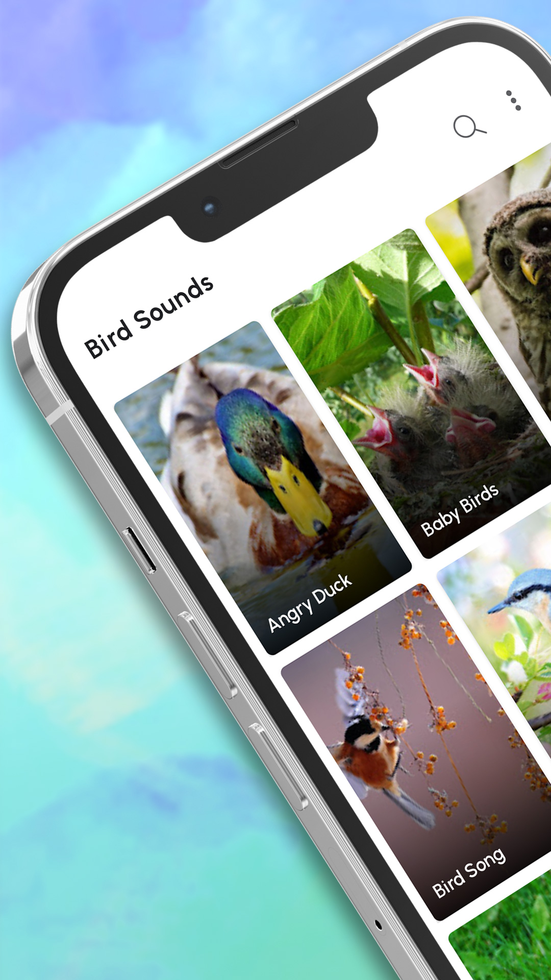 اسکرین شات 1 برنامه Bird Calls, Sounds & Ringtones