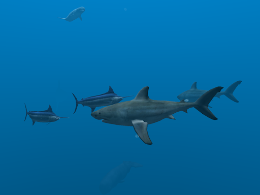 اسکرین شات 6 برنامه Ocean Dream