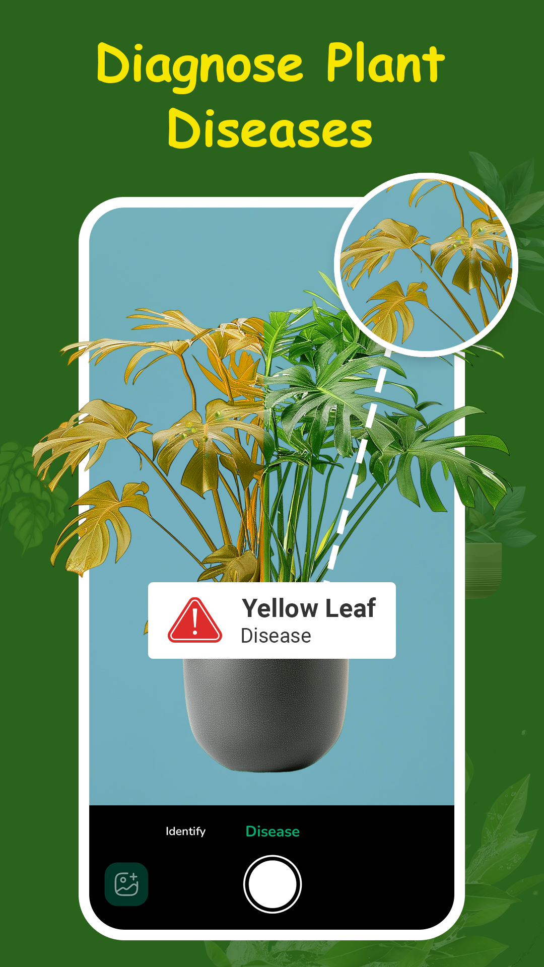 اسکرین شات 3 برنامه Plant Identifier & Plant Care