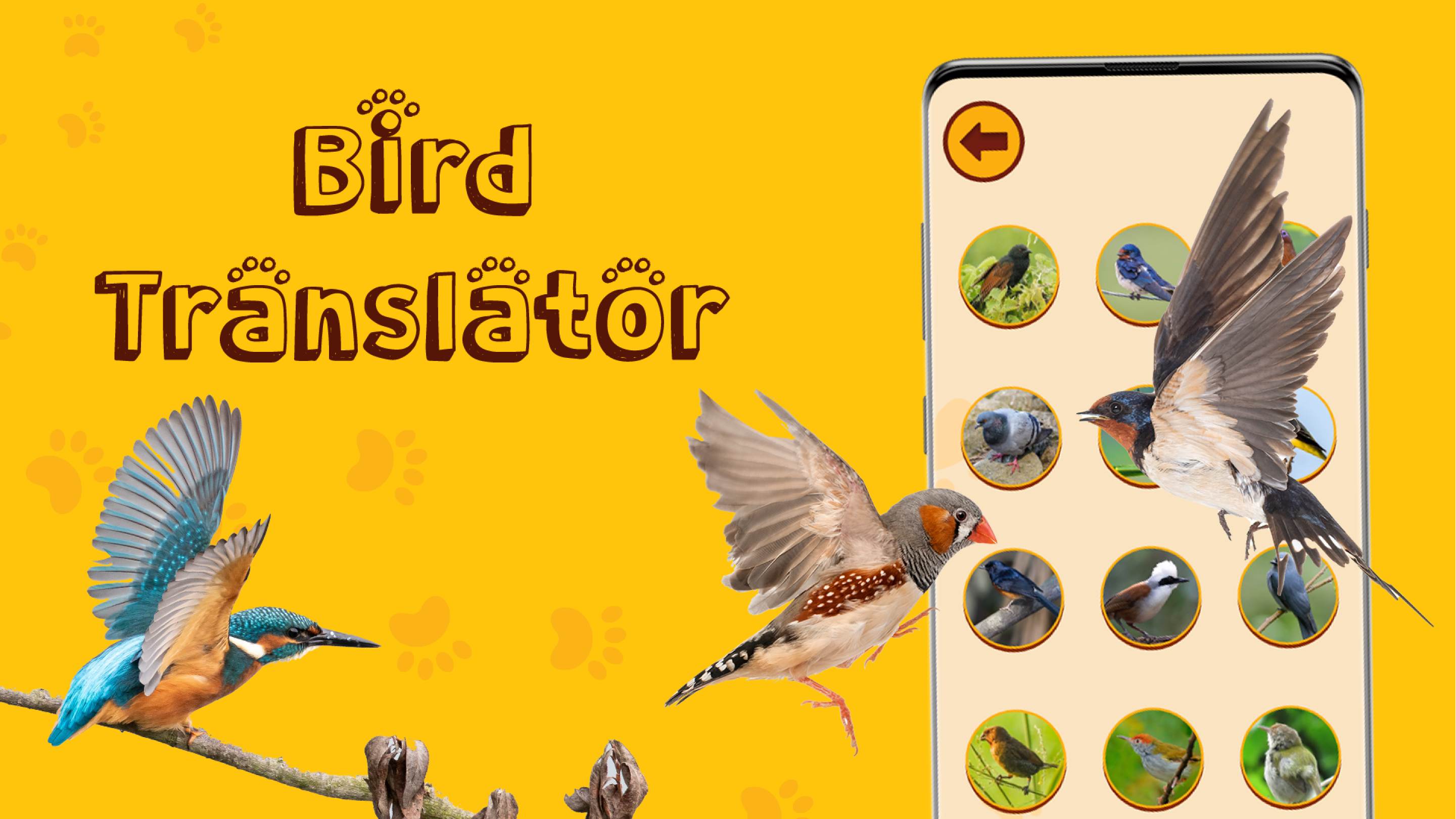 اسکرین شات 6 برنامه Translate for Animal: Cat, Dog