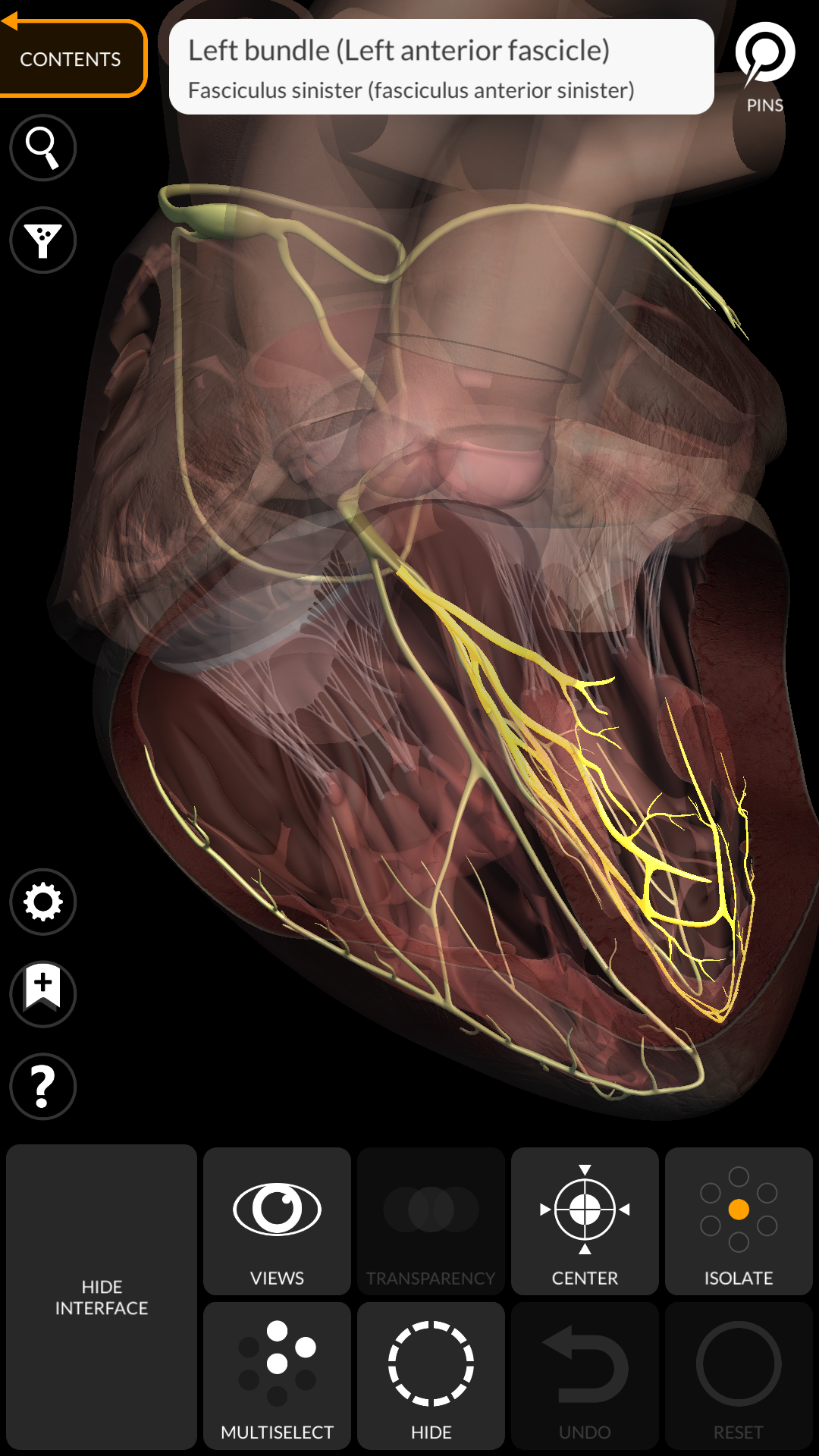 اسکرین شات 6 برنامه Anatomy 3D Atlas