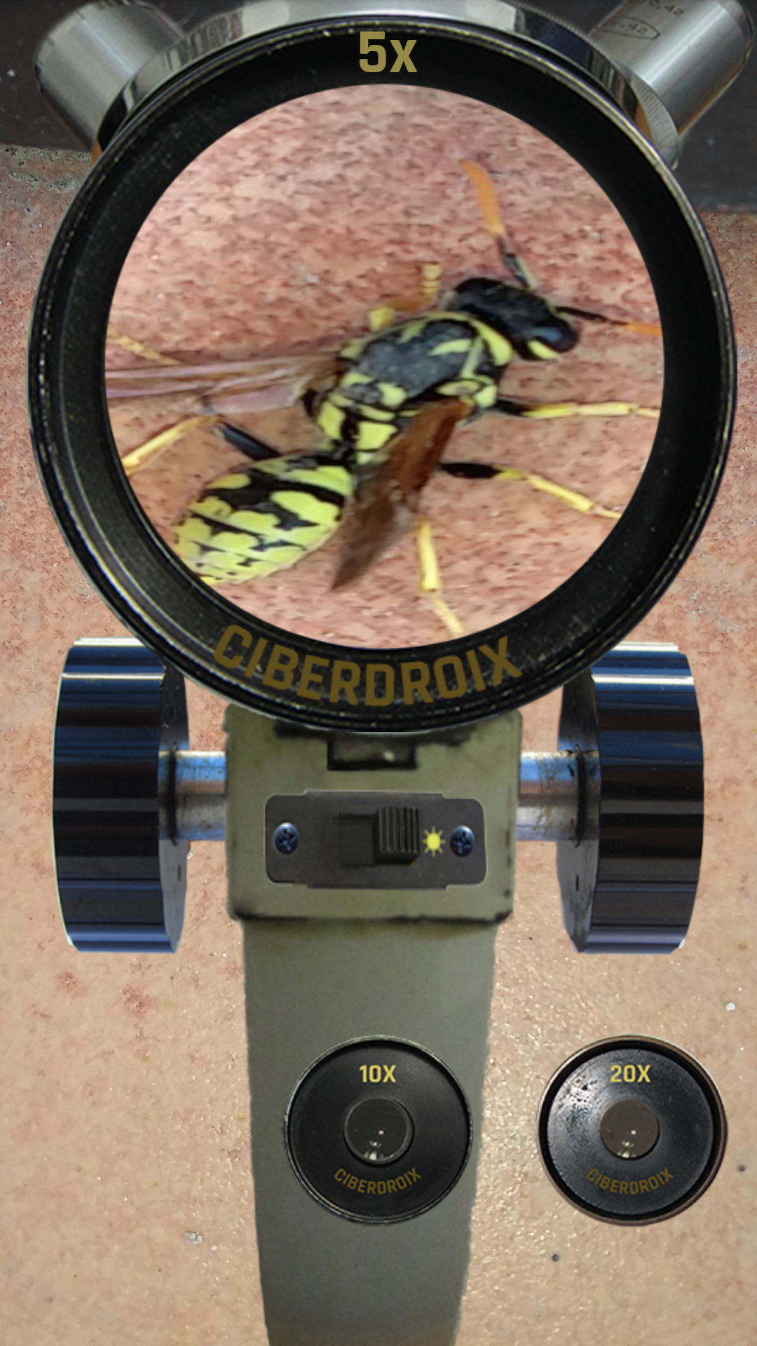 اسکرین شات 7 برنامه Microscope