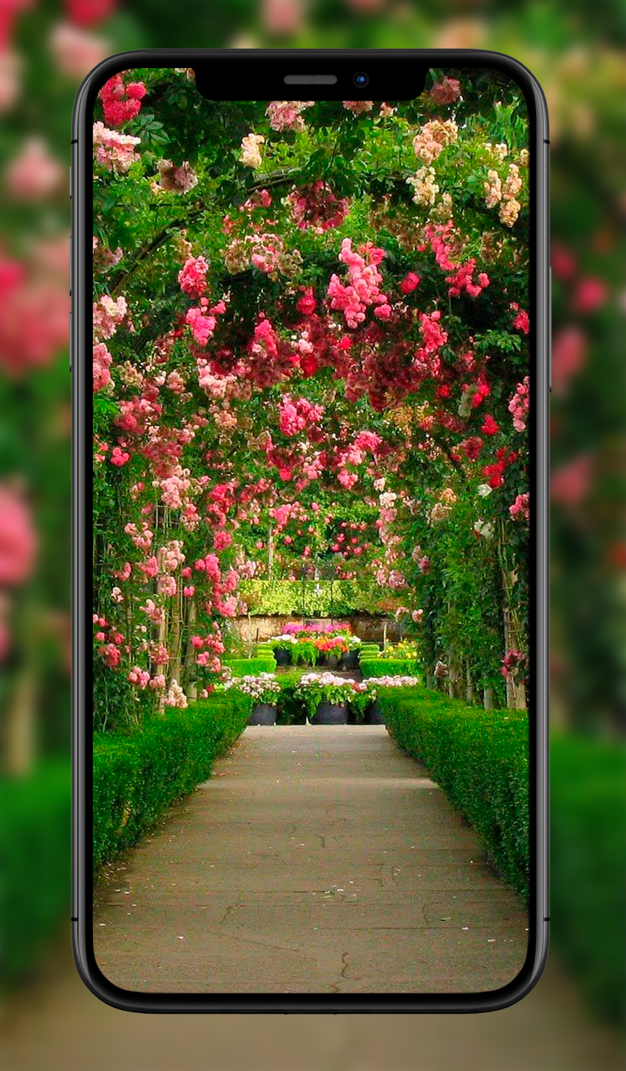 اسکرین شات 2 برنامه Garden Wallpapers